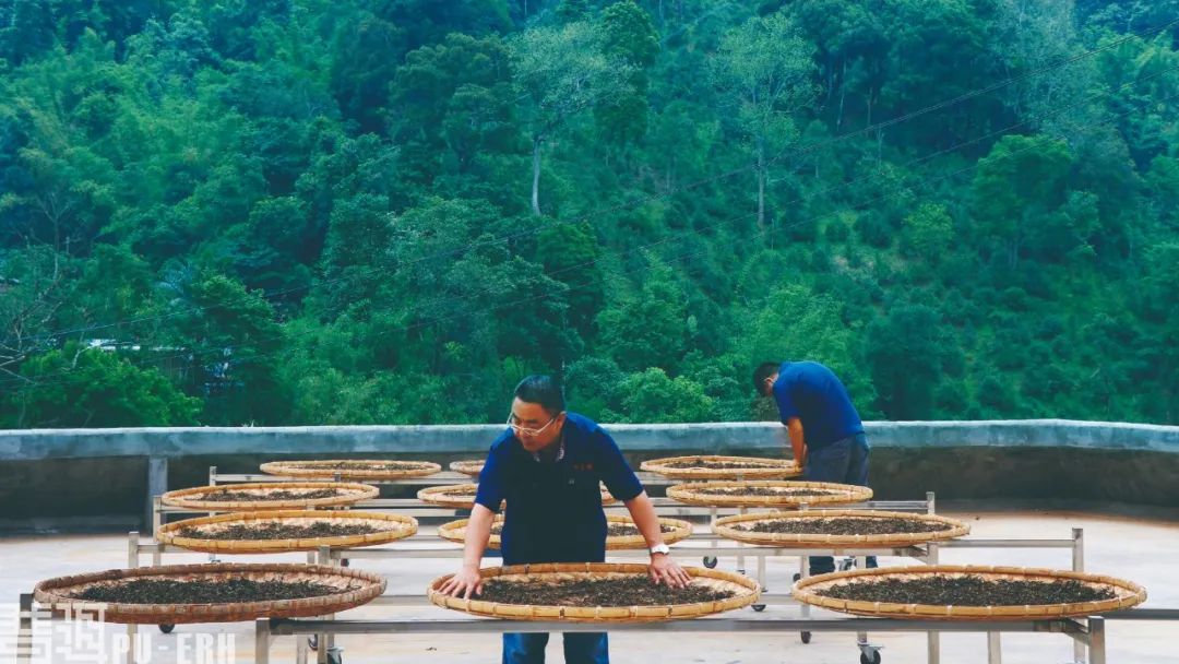 普洱火车站旁边有服务的吗