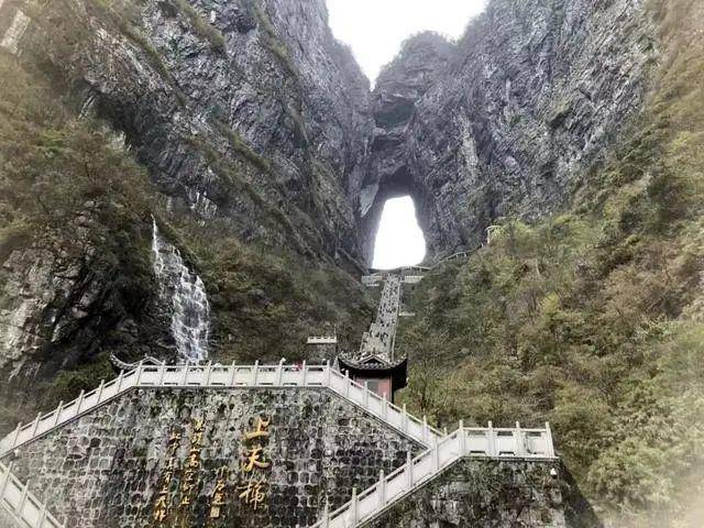 卧底“约死群”