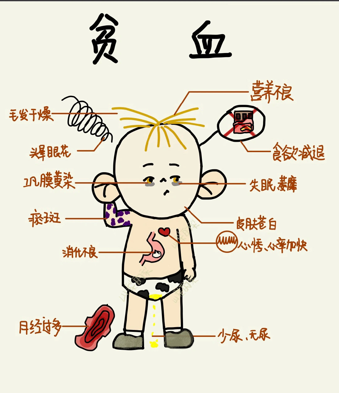 医学生笔记 大耳朵图图版|医学生_新浪新闻
