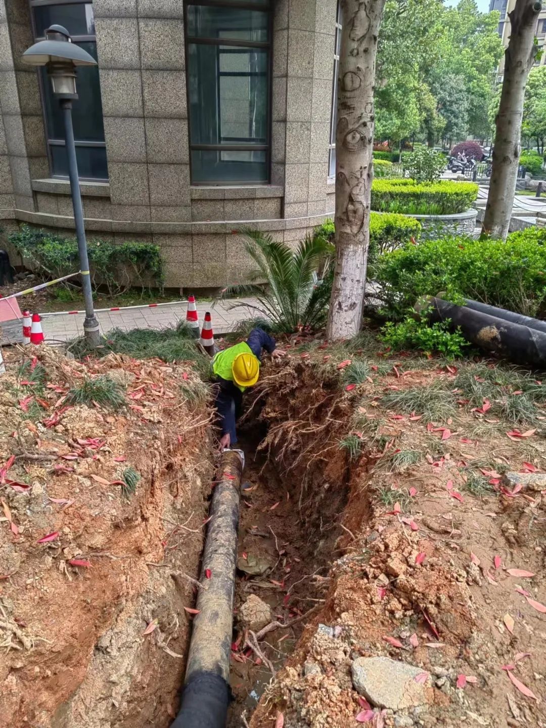 重磅！杭州这项民生实事全线开工，涉及200个小区|业主_新浪财经_新浪网