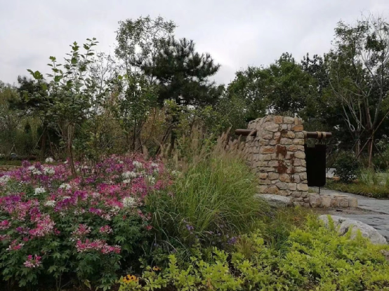 西城区广阳谷城市森林景观（记者张煜 拍摄）