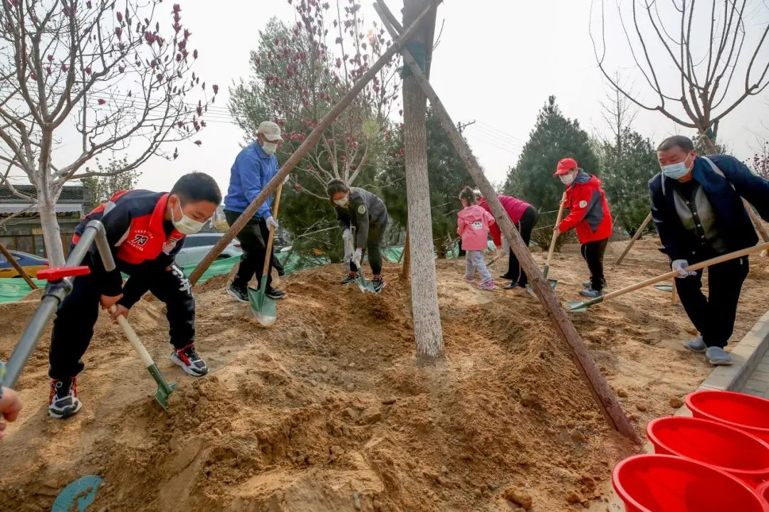 北京市民参加义务植树。北京市园林绿化局供图