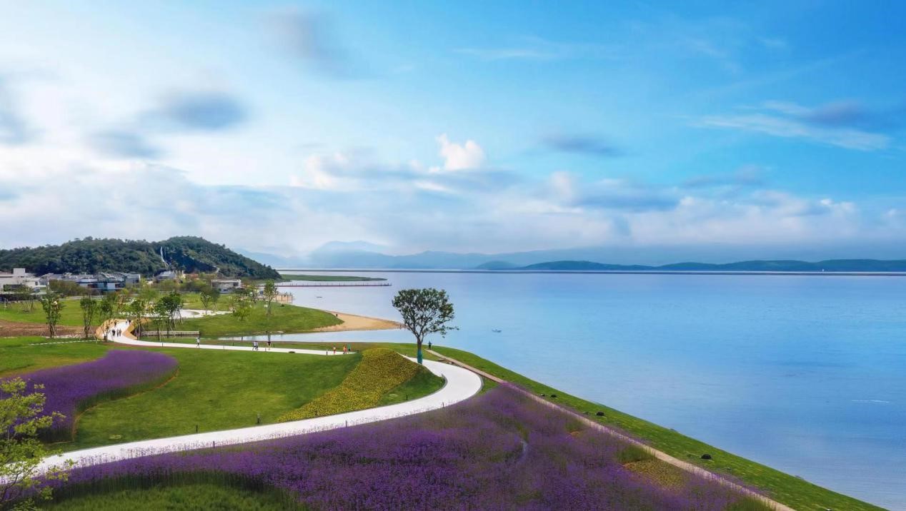 宁波安澜工程成幸福港湾|安澜_新浪财经_新浪网