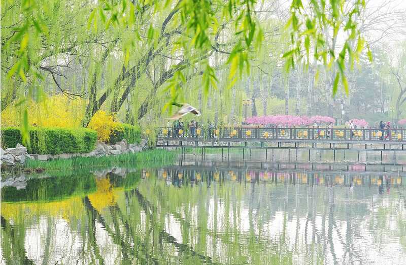 京平：持续书写绿色发展的“北京答卷”