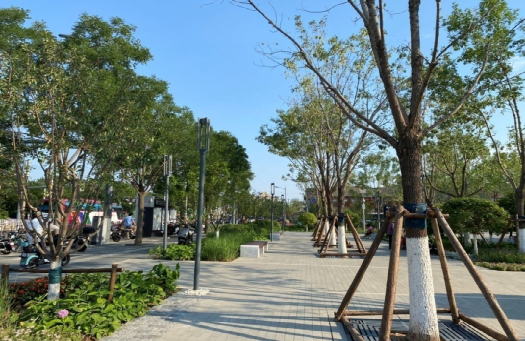 平安里地铁站西北口的口袋公园树阵广。钦哒澎 拍摄）