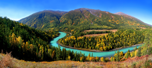 阿勒泰地区喀纳斯月亮湾全景(图片由新疆是个好地方融媒体中心提供)