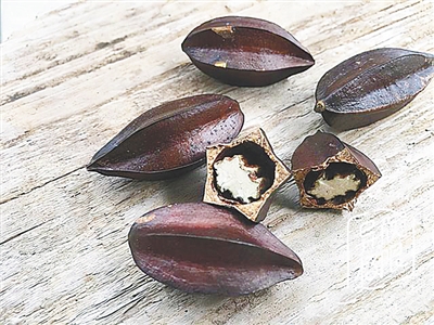 使君子:红粉佳人 花中君子