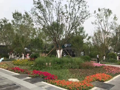 留白增绿，铺就首都高质量发展的亮丽底色