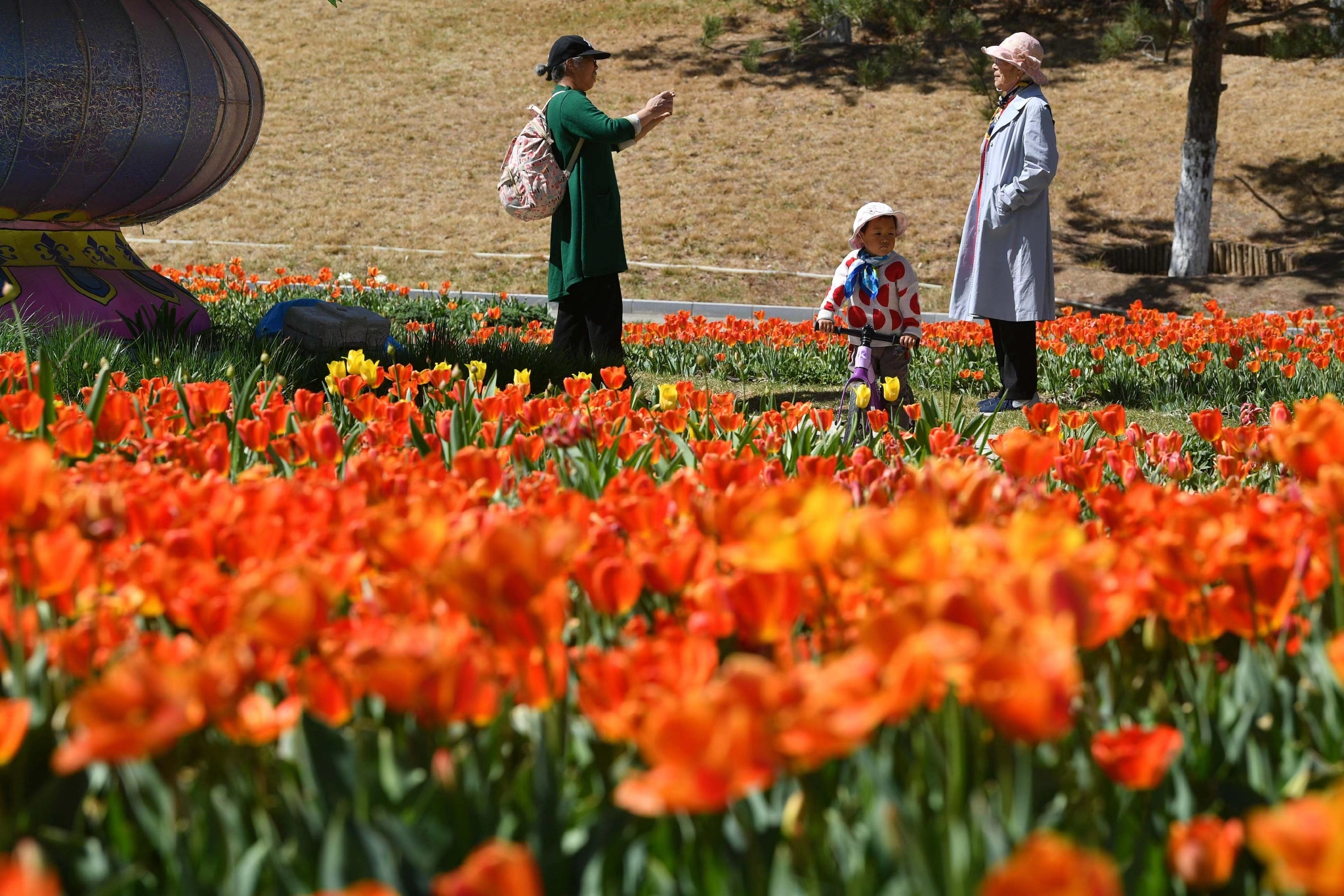 奇瑞路虎发现神行