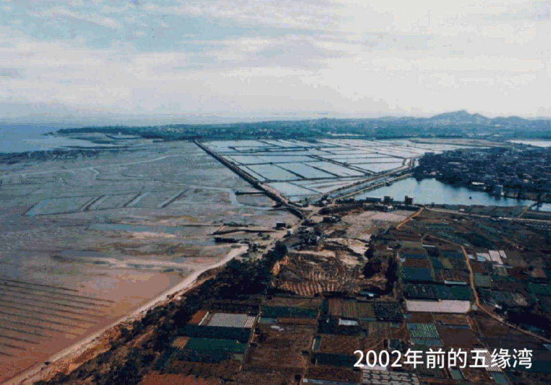 五缘湾今昔对比。