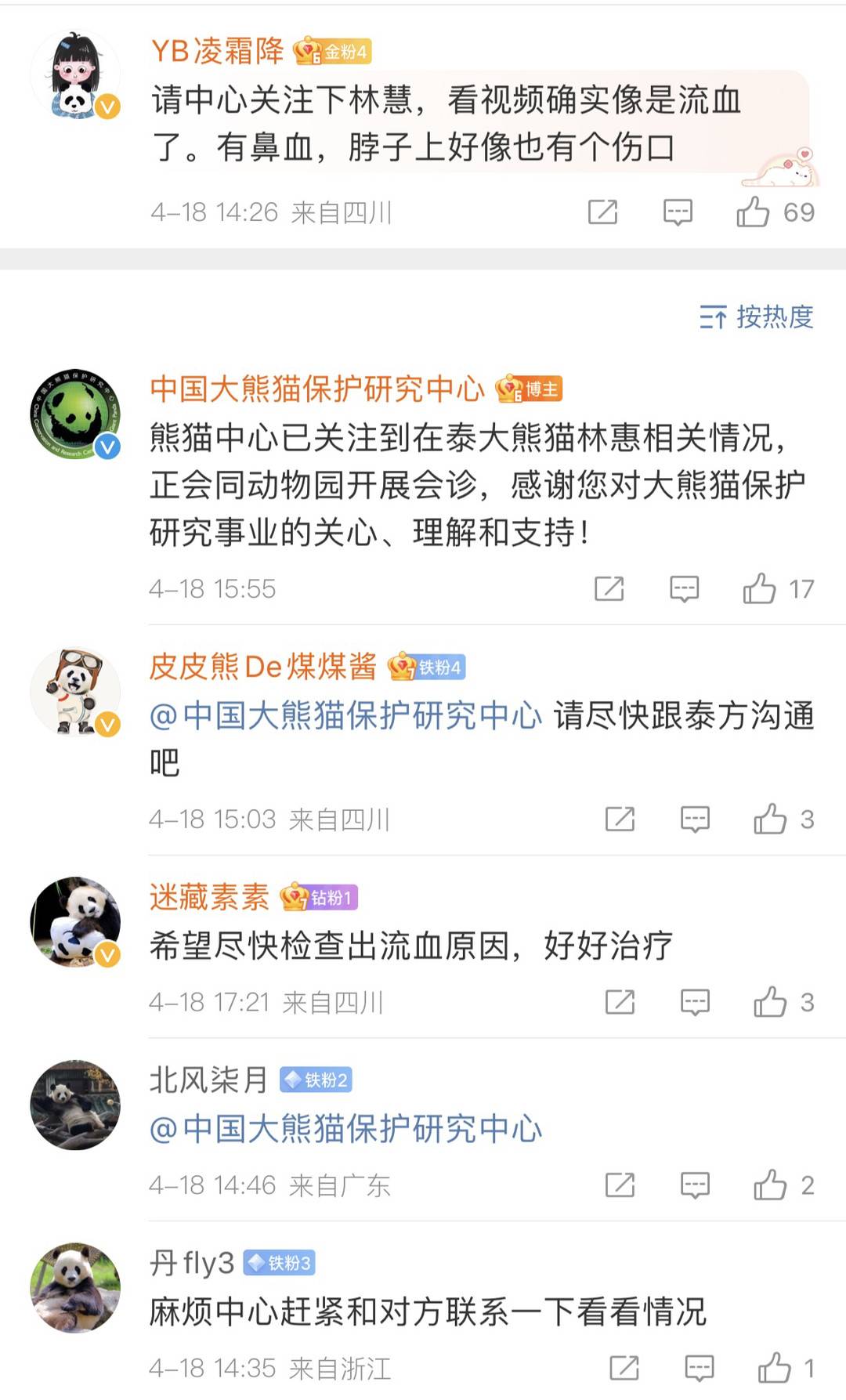 旅泰大熊猫林惠鼻部出血 熊猫中心专家已会同清迈动物园开展会诊休闲区蓝鸢梦想 - Www.slyday.coM