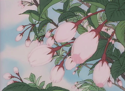 不同颜色的鲜花可以做不同的墨水