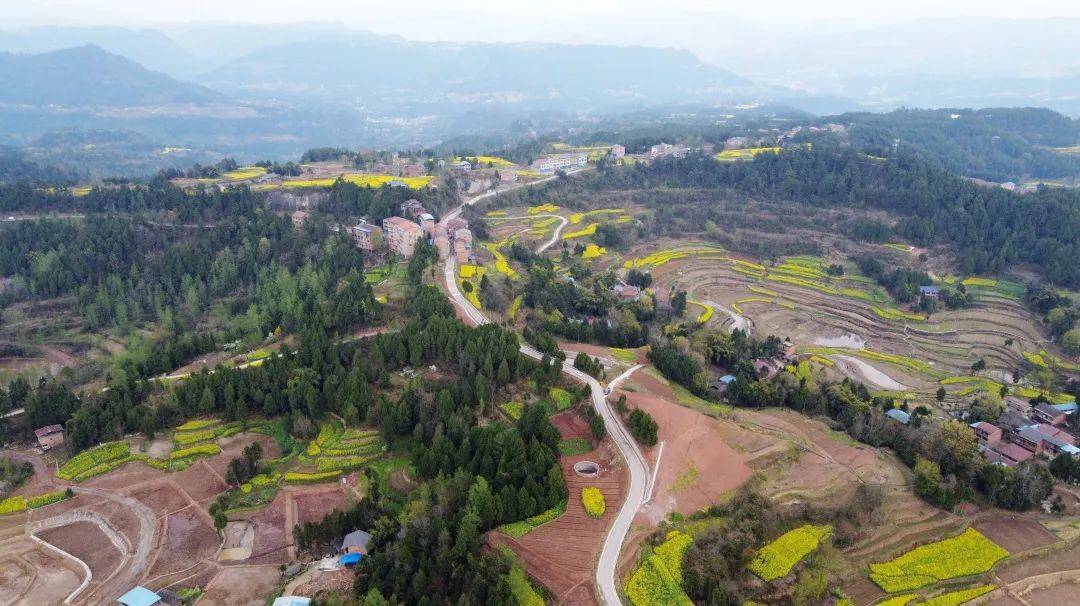 实施危病桥及道路隐患整治工程,重点对碑庙镇乌水沟桥,天生桥,硚沟