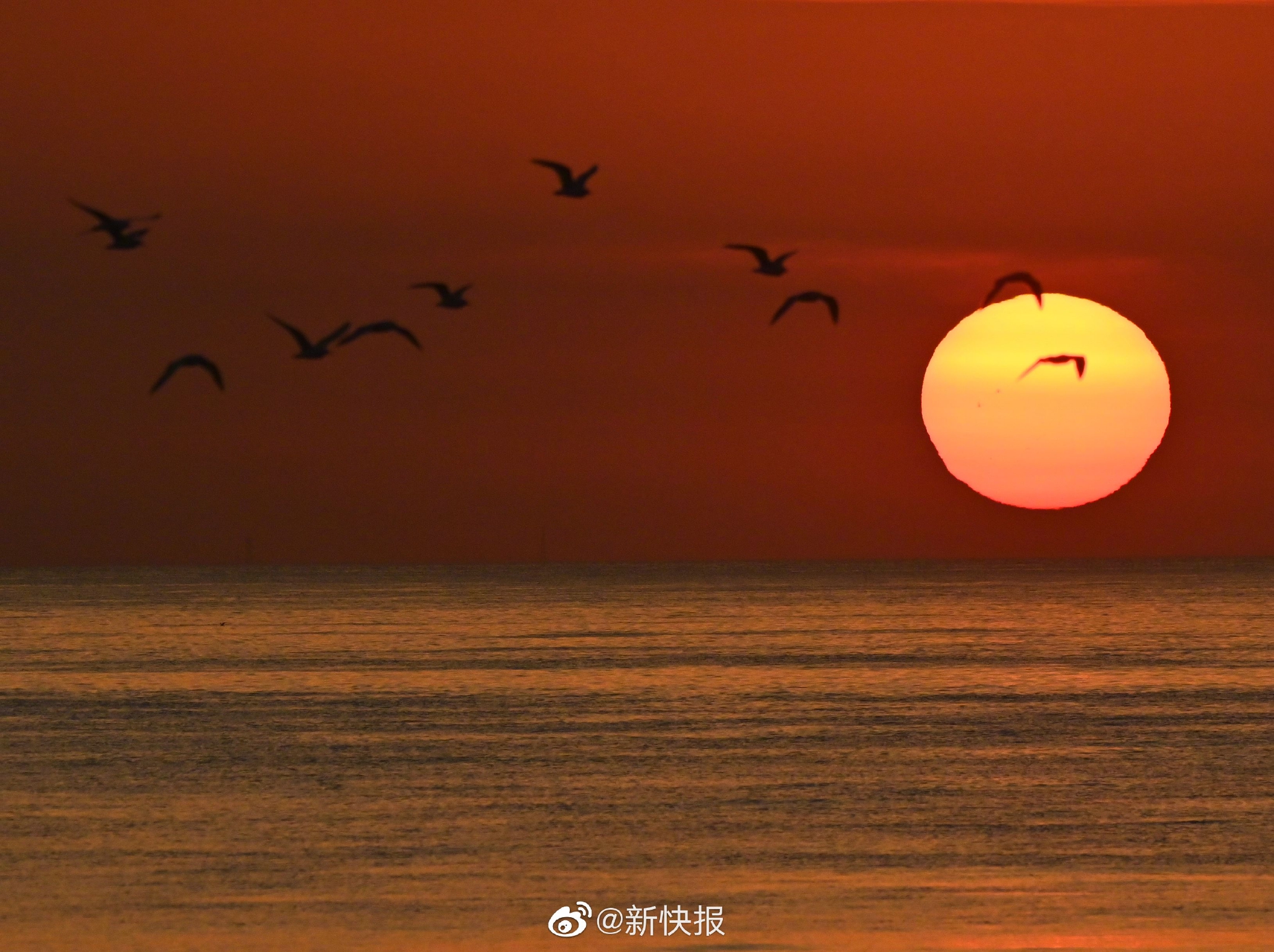 善良的死神阿呆为何坚持本心 死神世界中的成长与谜团