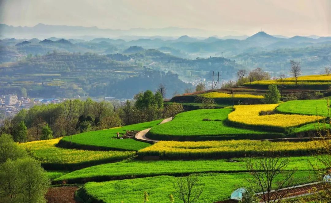 新闻快讯：成县东新巷的人口与未来生活趋势揭秘