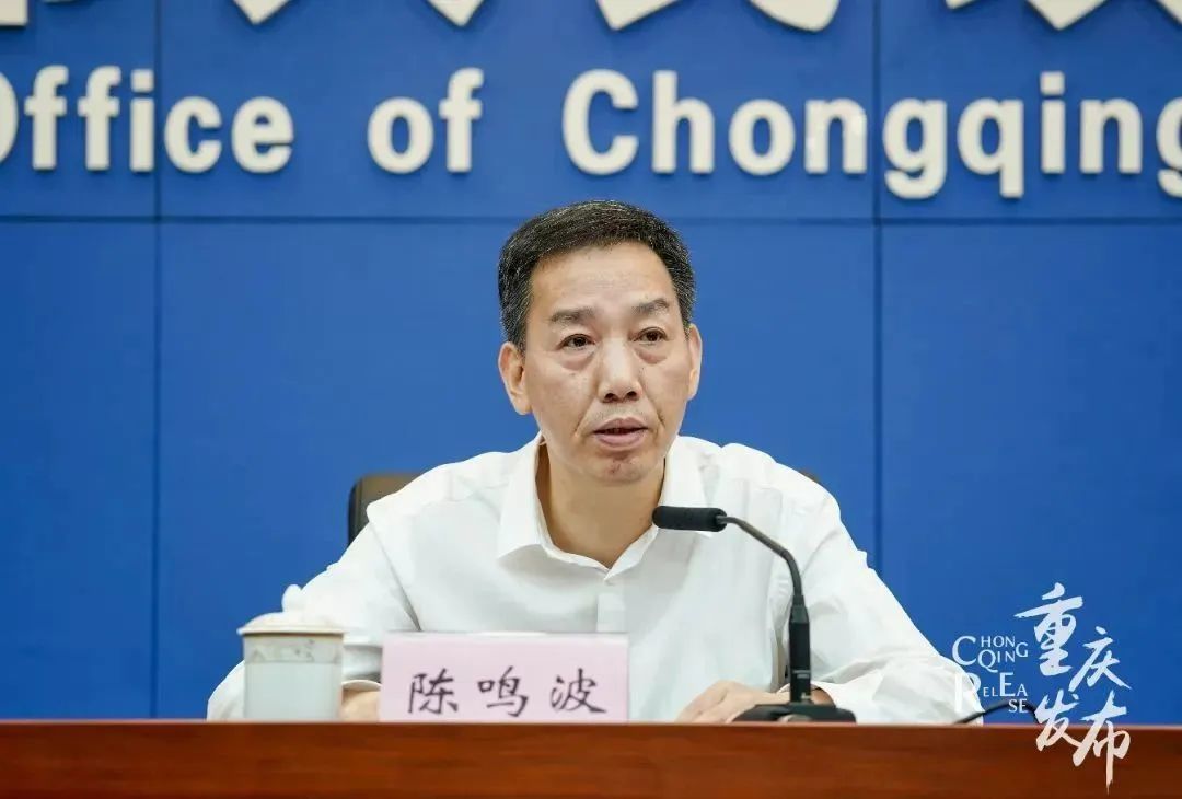 陈鸣波(资料图 图片来源:重庆发布)