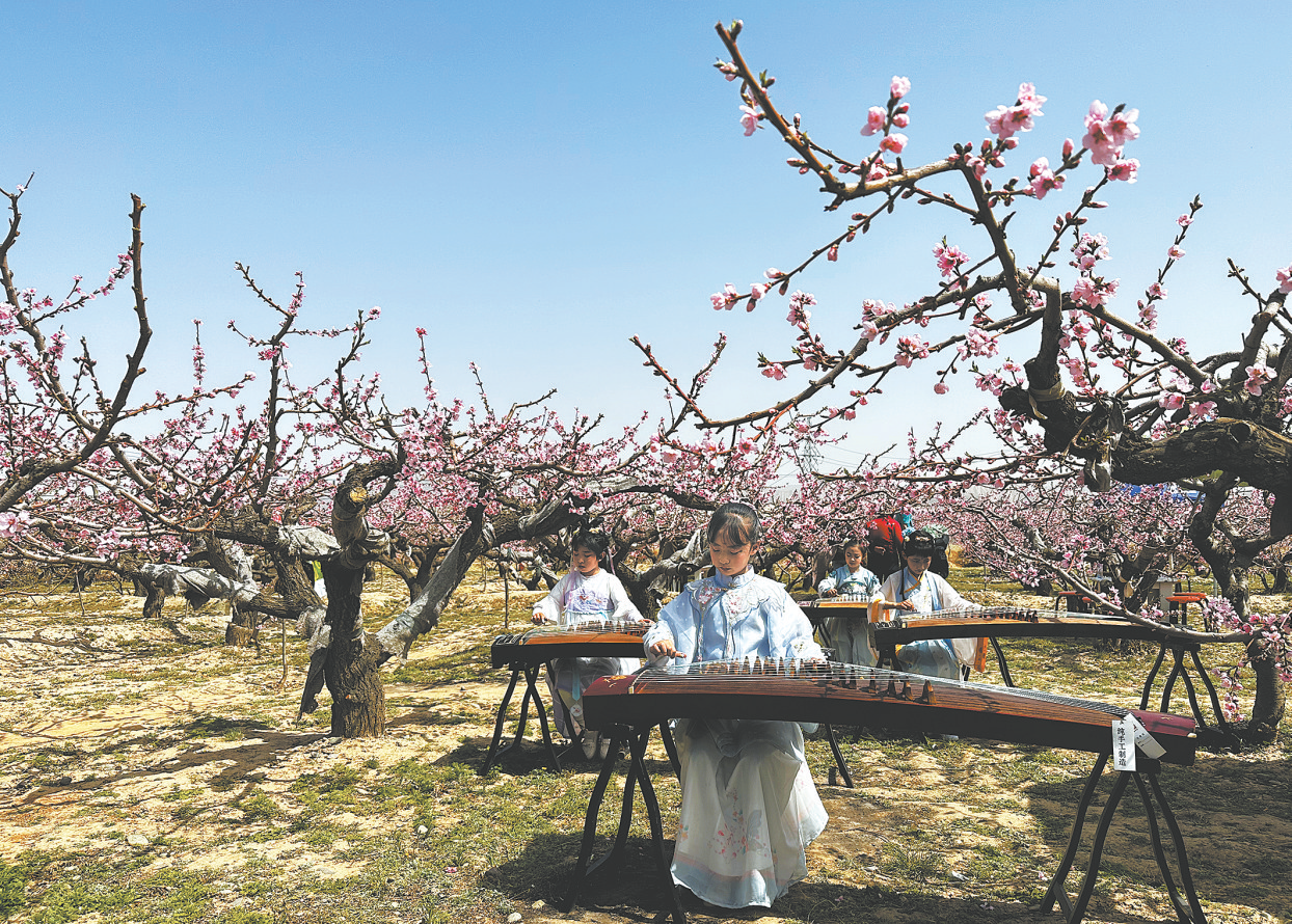 人间四月天 相约"桃花源"——"天路桃源魅力民和"民和桃花文化旅游