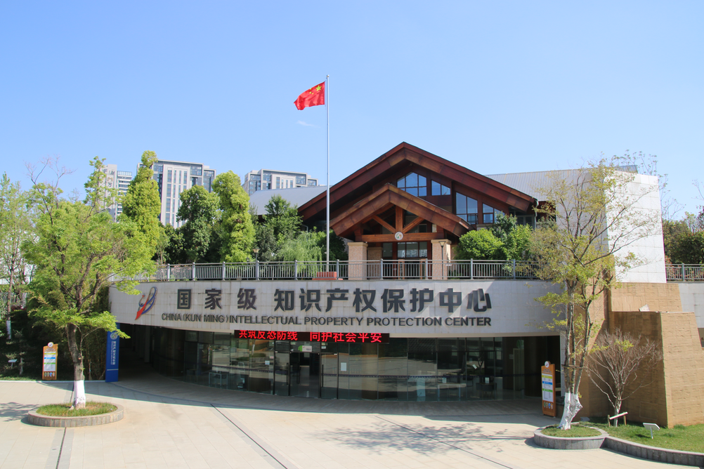 昆明市知识产权保护中心 图源:云南日报