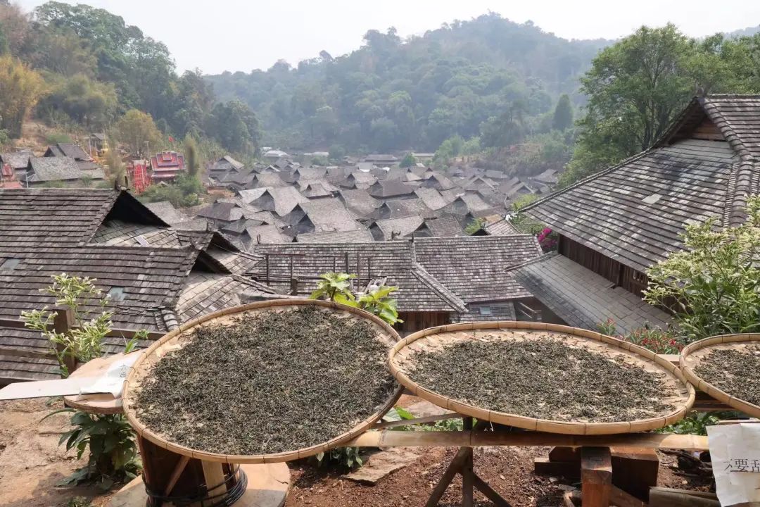 茶山行第一站丨走进一座申遗的古茶山__财经头条