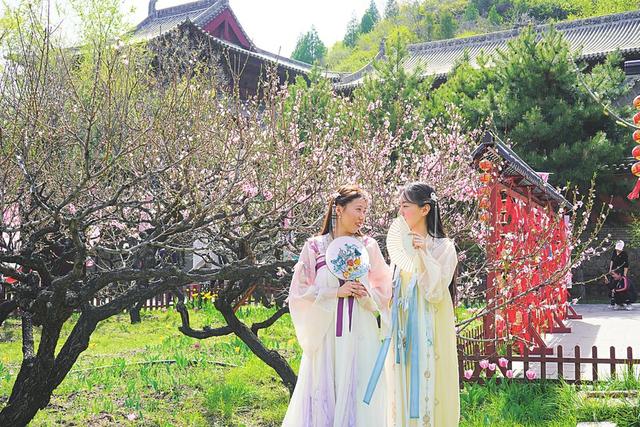 图为游客身着汉服在桃花园赏花游玩.