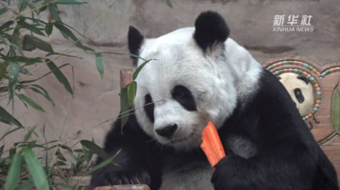 昨夜今晨丨1死6伤！山东警方深夜通报持刀伤人案丨大风+降温+降雨，冷空气来了丨有中国游客溺水！中使馆紧急提醒→休闲区蓝鸢梦想 - Www.slyday.coM