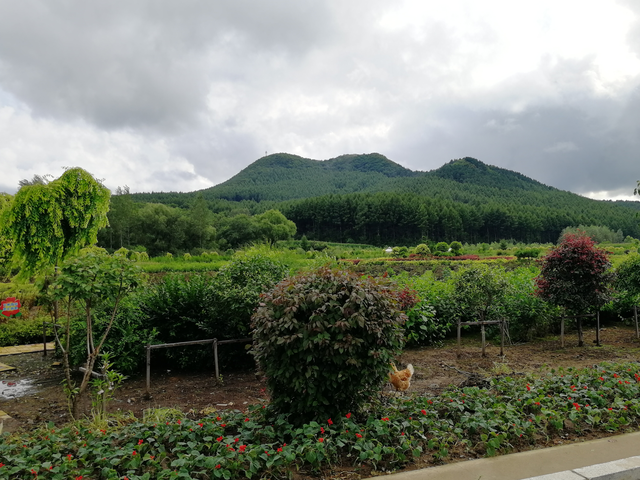 九台区马鞍山村:春风起,美丽山村游起来|马鞍山市_新浪财经_新浪网