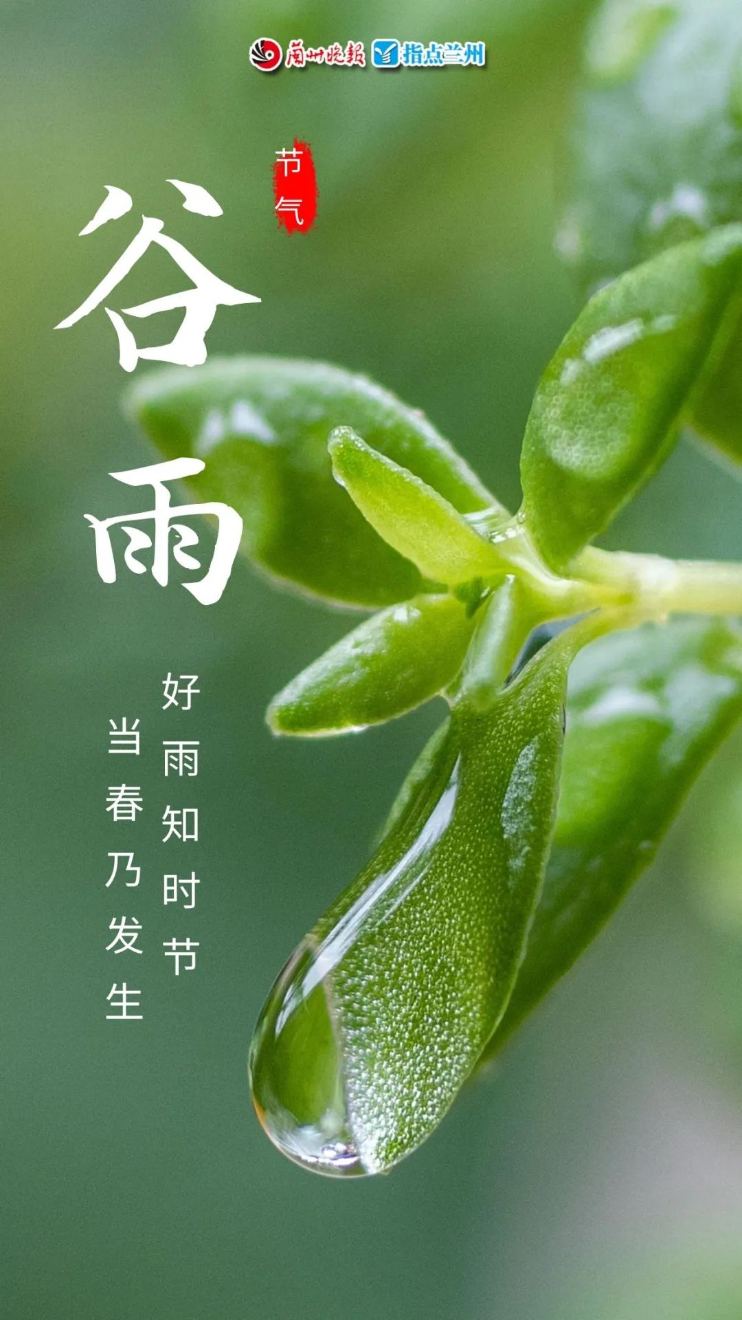 今日谷雨 | 告别暮春,67走向初夏