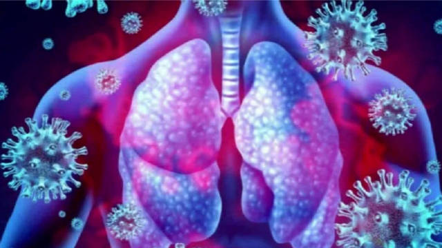 脓毒症——你应该知道的一切……_新浪新闻
