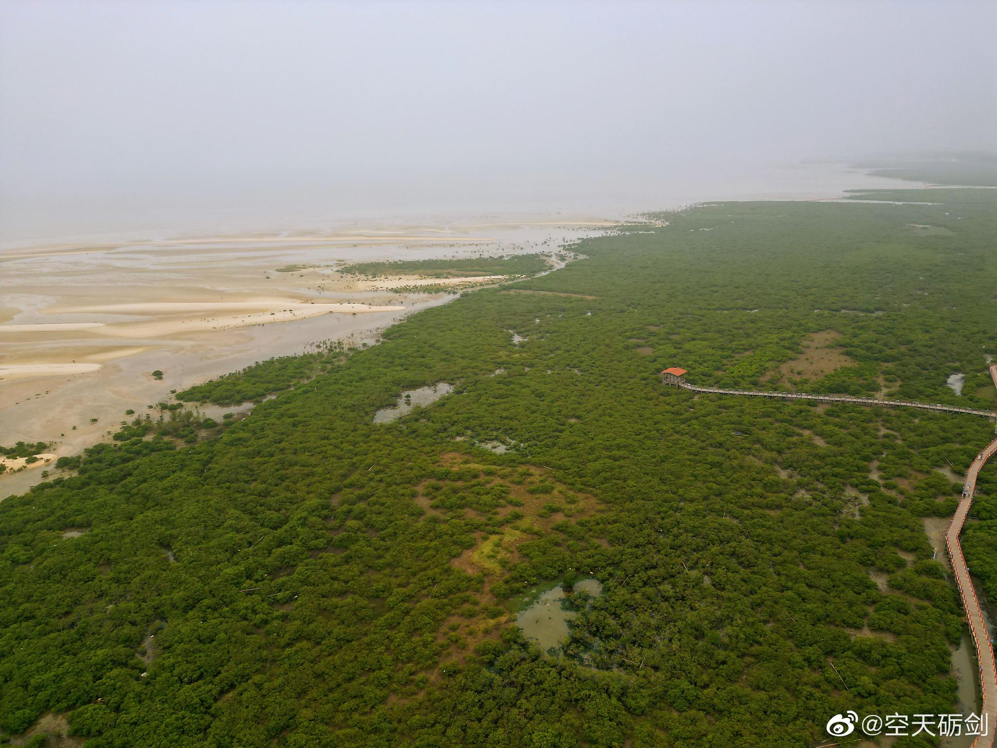 这里是北海最美的红树林，涨潮的时候整个红树林会浸泡在水中……