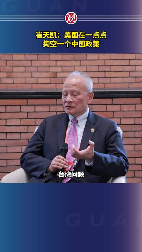 外交部前副部长、前驻美国大使崔天凯|外交部|崔天凯_新浪新闻
