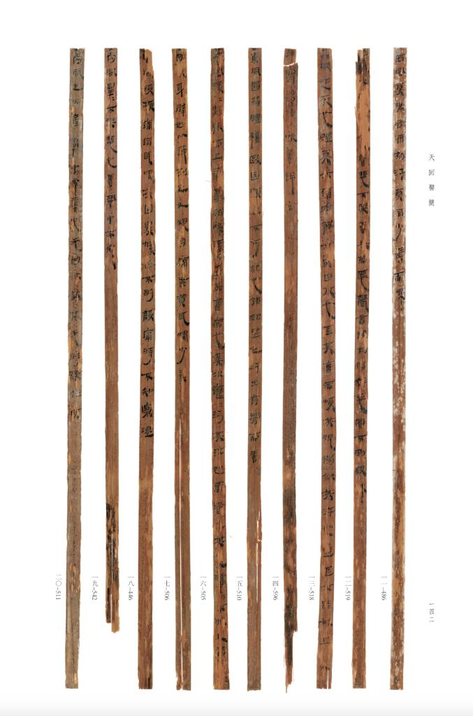 新华社发(成都文物考古研究院供图)