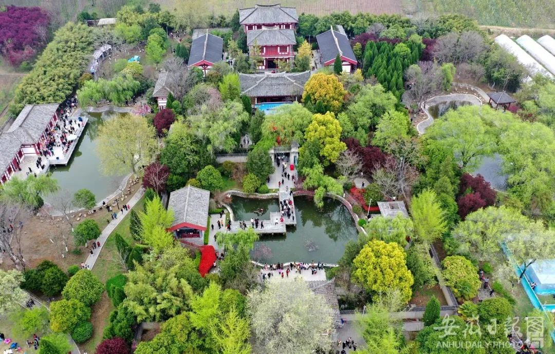 蒙城县庄子祠景区.胡卫国 摄 来源:视觉安徽