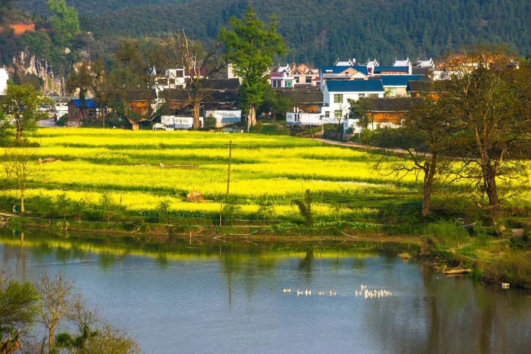 美翻了我的村91 | 贵州省锦屏县敦寨镇雷屯村:绘就美丽乡村新图景