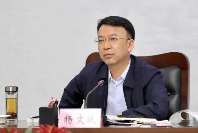 杨文斌_新浪财经_新浪网