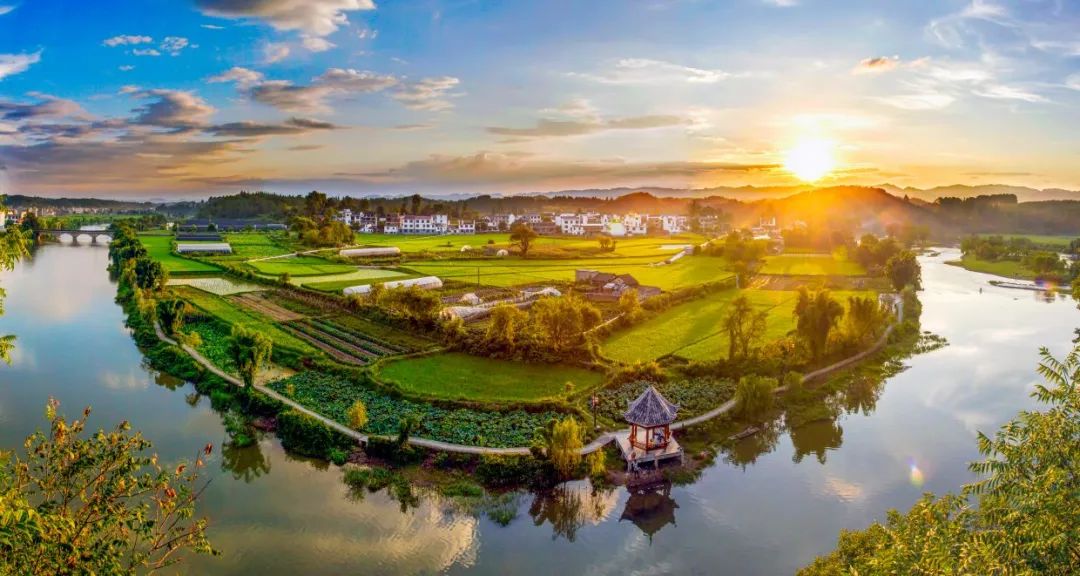 龙煜 摄油菜花田漂亮的油菜花传统美食——米花,麻叶.