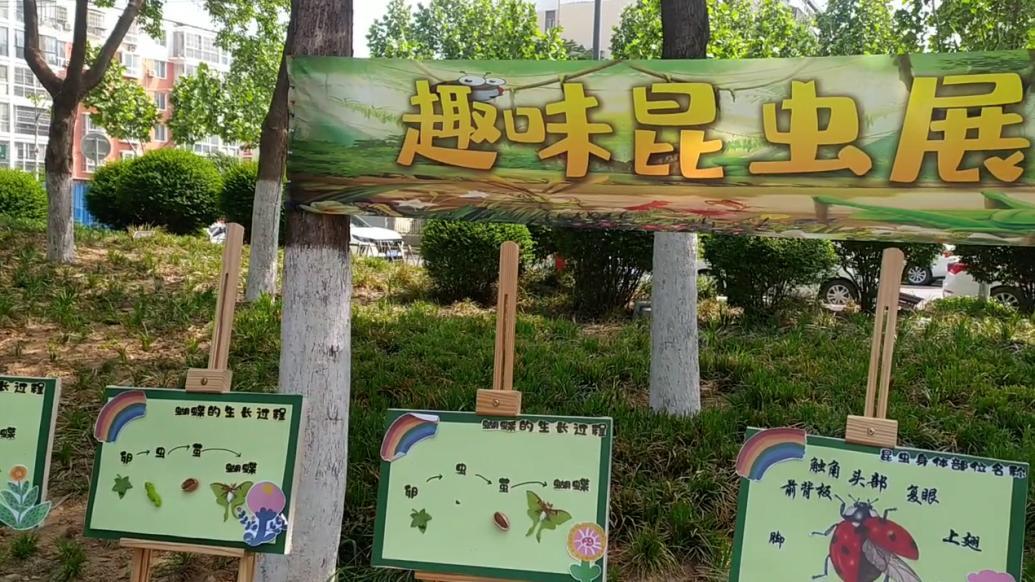 幼儿园在公园举办公益趣味昆虫展:启蒙萌娃探索大自然