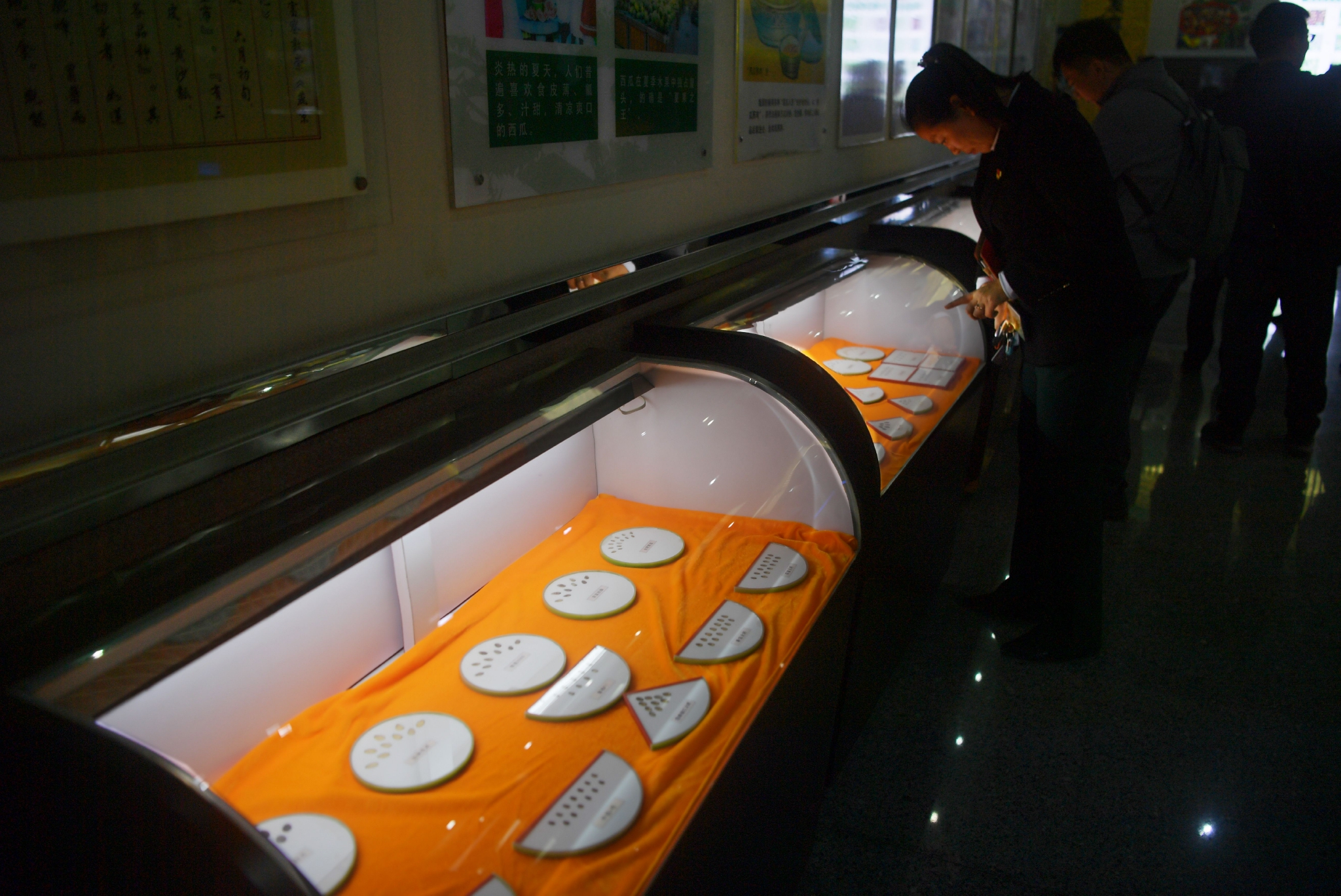 中国西瓜博物馆内,现场展出的西瓜种子吸引参观者驻足观看.