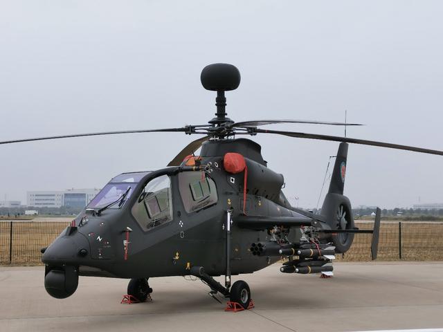 天津直博会上展示的直-19武装直升机.澎湃新闻记者 谢瑞强 图