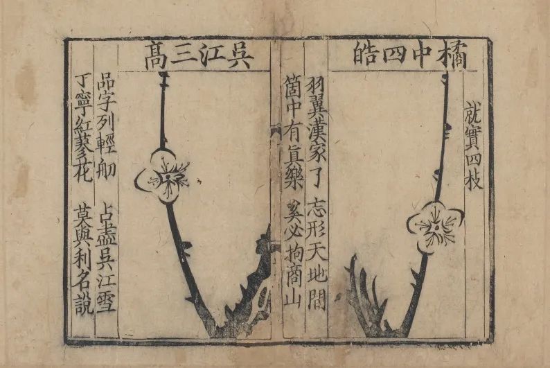 《梅花喜神谱》等宋刻本将亮相上博宋元古籍特展