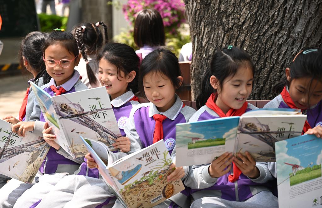 图为清华附小校园里孩子们在树下读书。采访对象供图