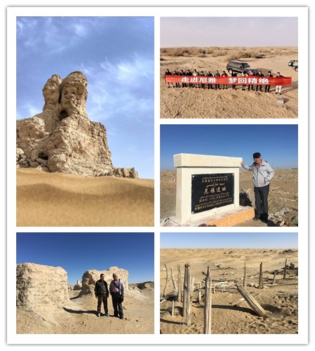 江西民丰农业石斛生态园是做什么的?