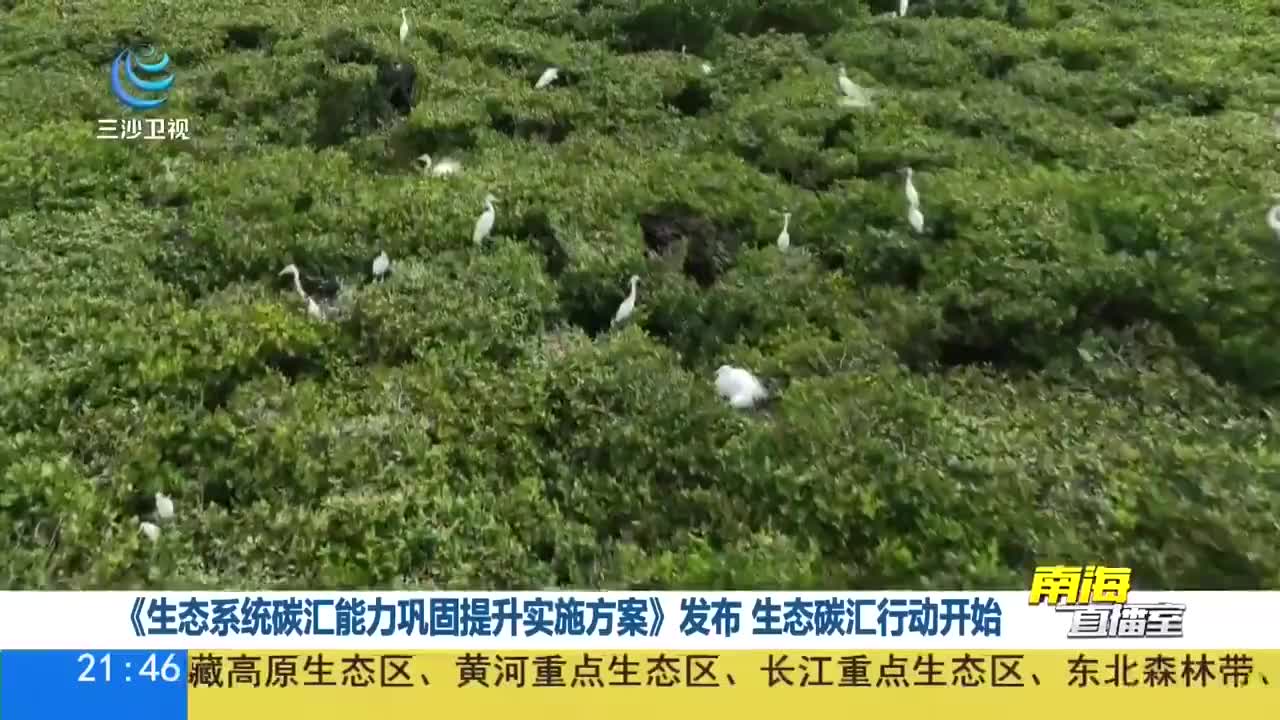 《生态系统碳汇能力巩固提升实施方案》发布 生态碳汇行动开始_新浪新闻