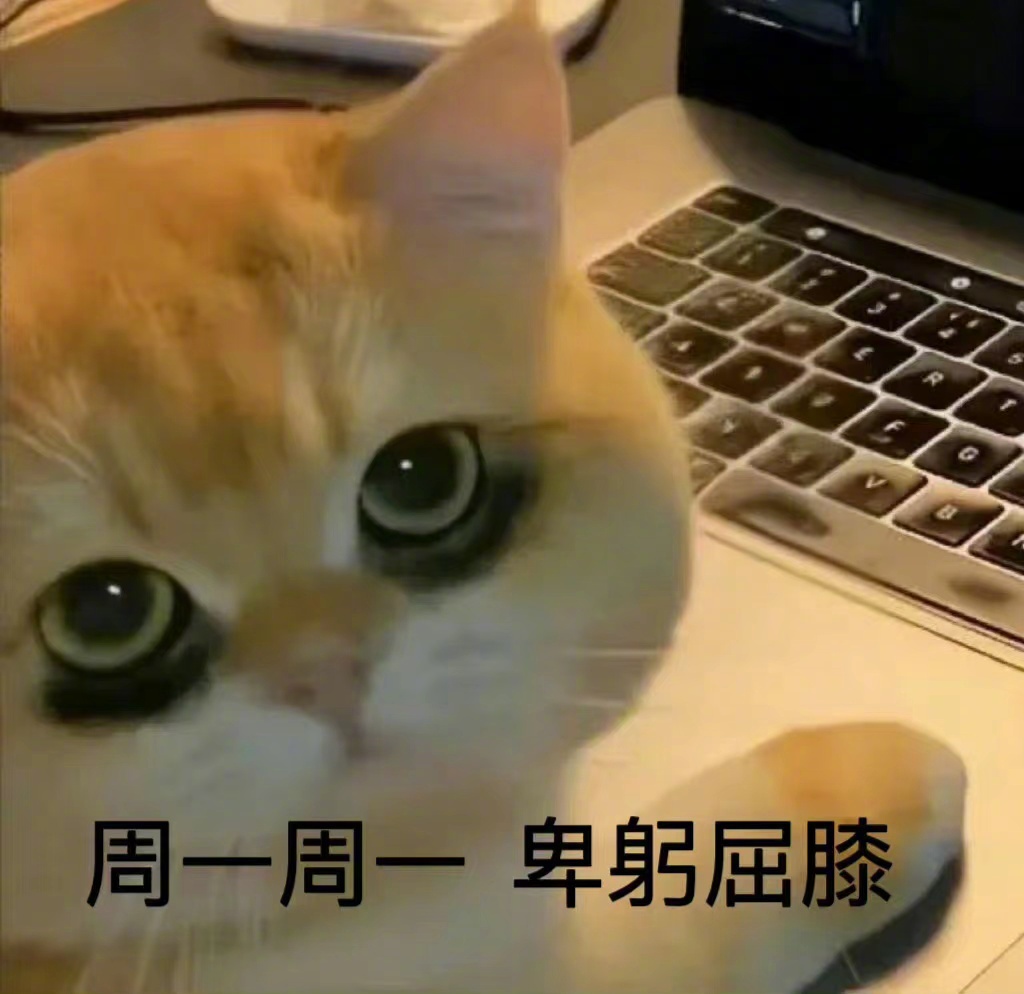 我国实行周末双休制还不足30年，每周休一天会影响你的工作效率吗？