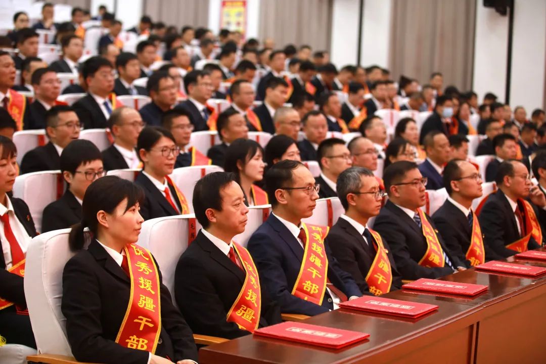 国家干部是哪类小说 十大官场小说2023年