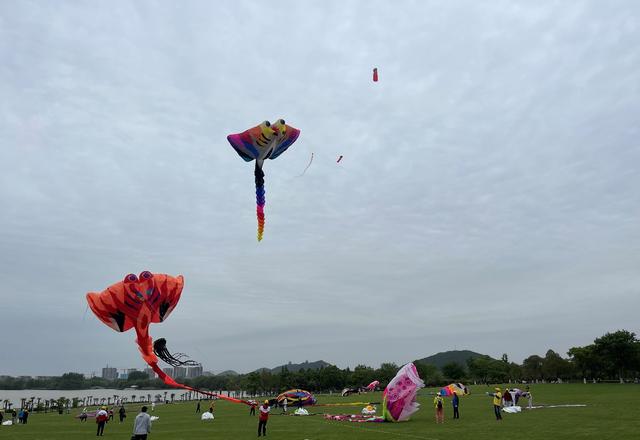 "幸福江苏"2023江苏省风筝挑战赛暨第六届大龙湖风筝节成功举办
