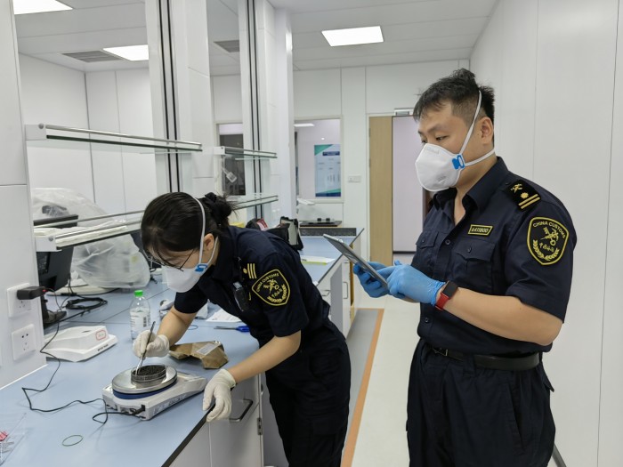 三亚海关关员在实验室对进境野豌豆种子进行查验.李汉雄 摄