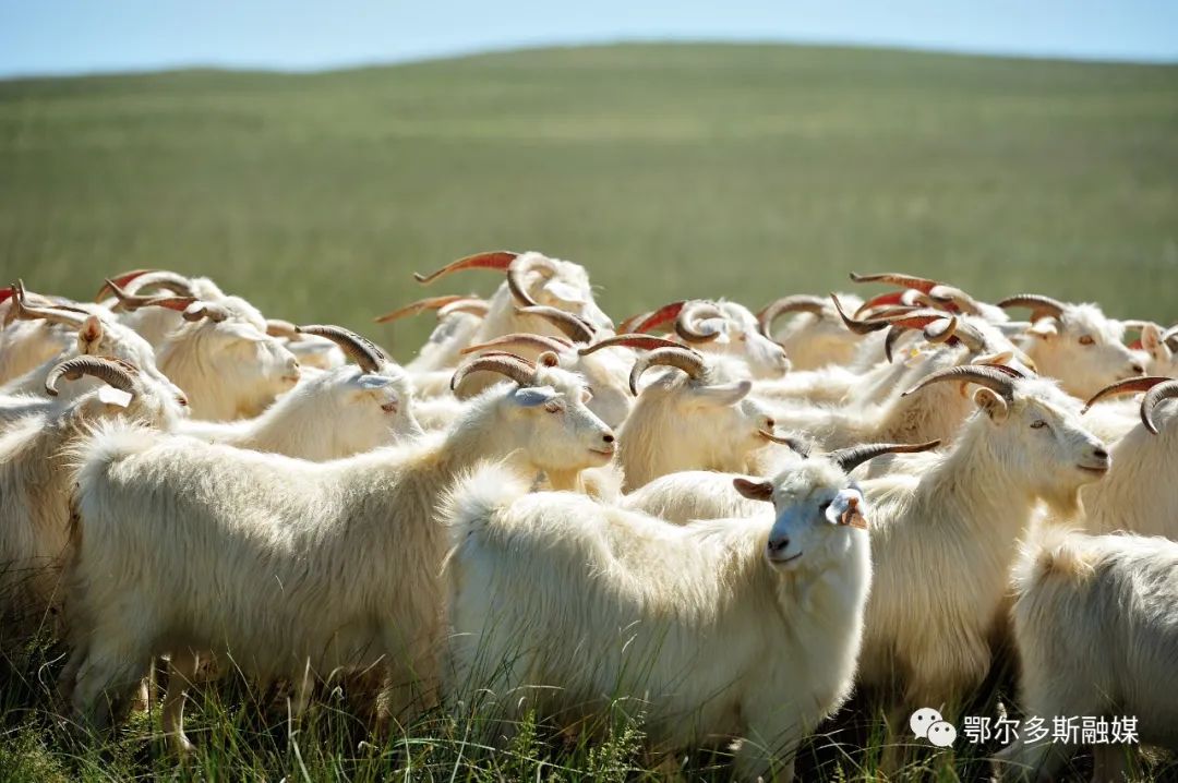 周杰伦为什么这么红？