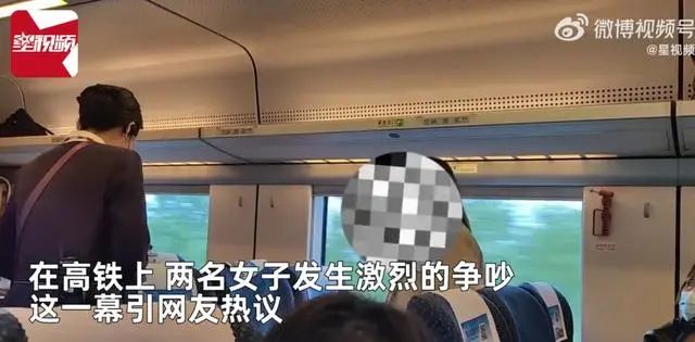 冲上热搜！高铁上女子和宝妈对骂：“不要带个孩子就不得了”休闲区蓝鸢梦想 - Www.slyday.coM
