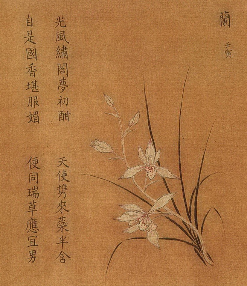 南宋,无款,《百花图卷》(局部,兰花)