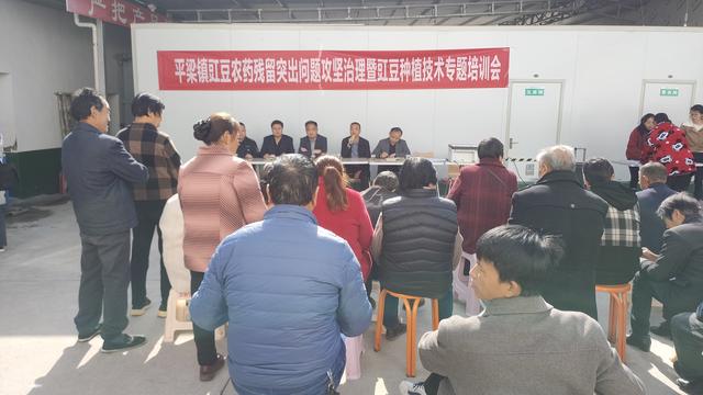 汉阴县平梁镇多措并举打好豇豆农残治理组合拳_新浪财经_新浪网